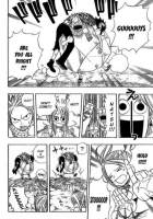 Fairy Tail Anime Manga