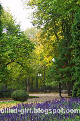 fall Copou Iasi Romania