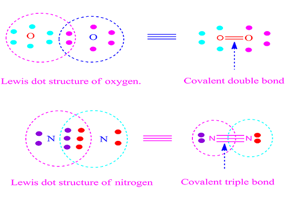 Covalent bond examples