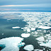 El hielo marino del Ártico podría desaparecer por completo en 15 años