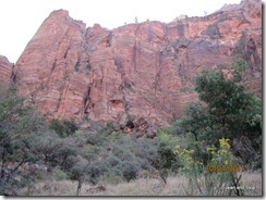 From the Grotto Trail