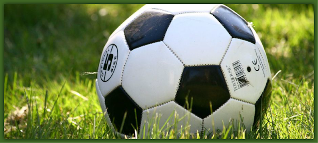 Know About All The Upcoming Sports Events Football, Rugby Etc.