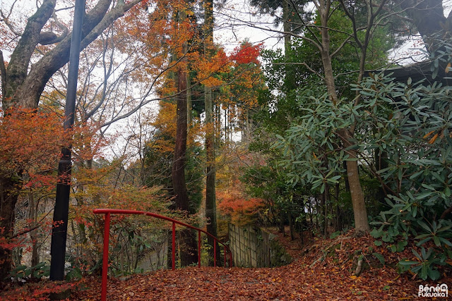 秋の呑山観音寺、篠栗、福岡