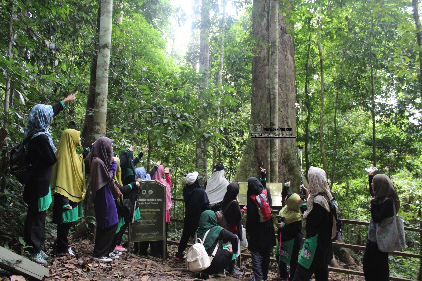 Taman Bukit Tawau TABLE Tempat Menarik Di Sabah - Unni Anje
