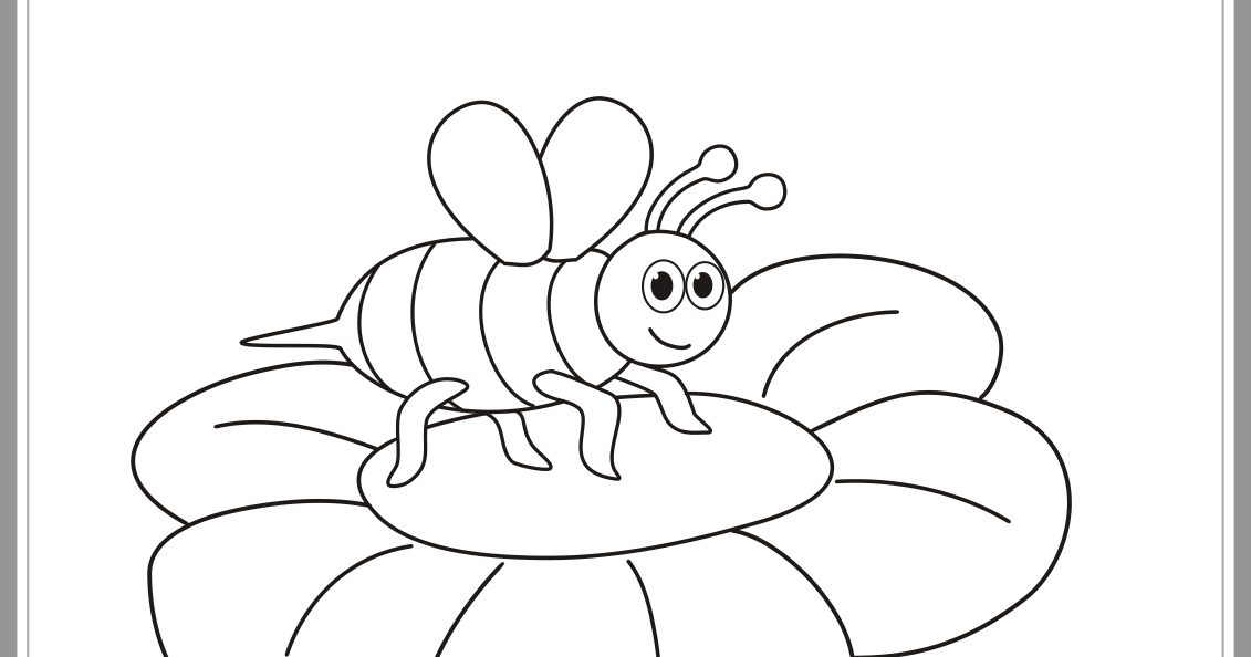  Gambar  Foto Hewan gambar  lebah untuk  diwarnai 