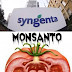 Monsanto και Syngenta.Συγχώνευση πραγματική κόλαση!.