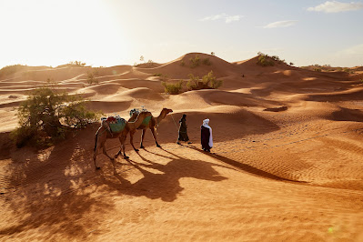 Two camels an camel riders in the desert (Credit: Fabien Bazanegue/Unsplash)