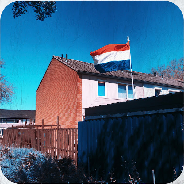 Vlag, Koningsdag 2021