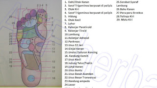 titik refleksi pada telak kaki