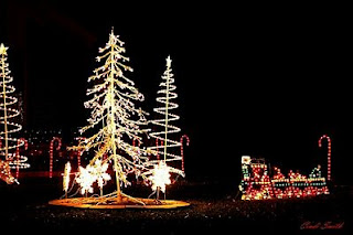 Cómo Decorar el Jardín en Navidad