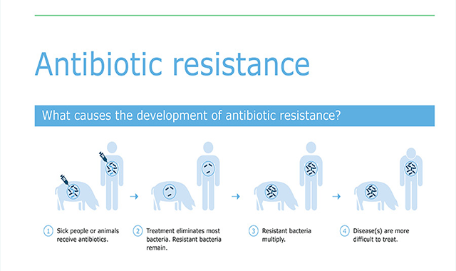 Story Behind Antibiotic Resistance 