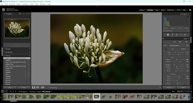 Changes to Adobe Lightroom Training Modules / Sessions