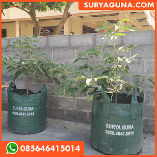 planter bag hijau ukuran 100 liter 085646415014