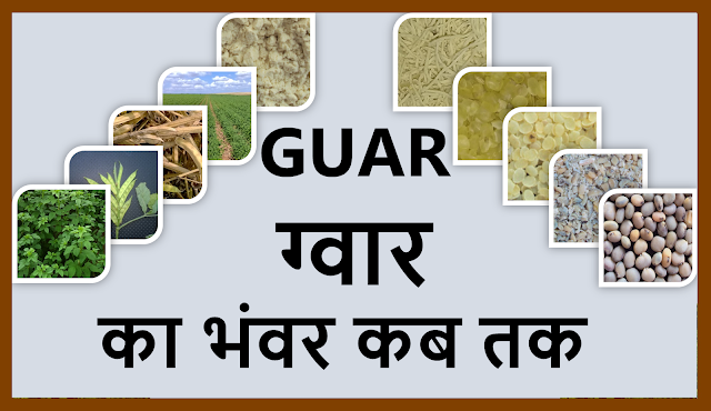 ग्वार व ग्वार गम की कीमतों का भंवर कब तक जारी रहेगा l, Guar gum production, guar gum export and current price trend, guar, guar gum,  κόμμι γκουάρ Guargummi 瓜爾豆膠, Гуаровая камедь, Гуаровая камедь (гуаровая семян) культивирование консультирование в России, Кизельгура (Cyamopsis tetragonoloba) консультации по выращивание семян в России, Смоли іонообмінні (відповідно насіння) вирощування консультування в Україні, מסטיק Guar (Guar הזרע) ייעוץ הטיפוח בישראל, الاستشارات زراعة Guar اللثة (Guar البذور), صمغ گوار (دانه گوار) کشت مشاوره ايران, ग्वार, ग्वार आज के भाव, ग्वार के भाव, ग्वार गम, ग्वार गम का निर्यात, ग्वार गम का उत्पादन, ग्वार भाव, ग्वार रेट, 瓜尔豆胶 (瓜尔豆种子) 栽培顾问在中国   Guar, guar gum, guar price, guar gum price, guar demand, guar gum demand, guar seed production, guar seed stock, guar seed consumption, guar gum cultivation, guar gum cultivation in india, Guar gum farming, guar gum export from india , guar seed export, guar gum export, guar gum farming, guar gum cultivation consultancy, today guar price, today guar gum price, ग्वार, ग्वार गम, ग्वार मांग, ग्वार गम निर्यात 2018-2019, ग्वार गम निर्यात -2019, ग्वार उत्पादन, ग्वार कीमत, ग्वार गम मांग, Guar Gum, Guar seed, guar , guar gum, guar gum export from india, guar gum export to USA, guar demand USA, guar future price, guar future demand, guar production 2019, guar gum demand 2019.