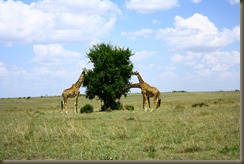 Image00002