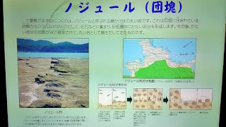 人文研究見聞録：石見畳ケ浦（唐鐘海岸） ［島根県］