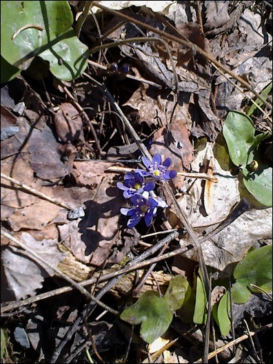 2013-04-17-089