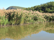 Hudson River Valley, Iona Island wetlands, Bear Mountain State Park (bear mountain state park iona island hudson river valley img )