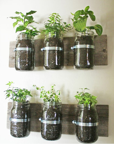 Indoor Herb Garden