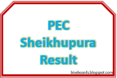 PEC Sheikhupura Board 5th & 8th Class Result 2016