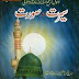 Rasool-e-Kareem(P.B.U.H) ke Seerat Aur Surat Pdf Book
