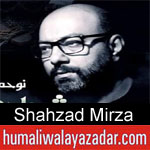 https://www.humaliwalayazadar.com/2019/09/shahzad-mirza-nohay-2020.html
