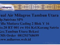 Milagros Tambun SMS 081293768699