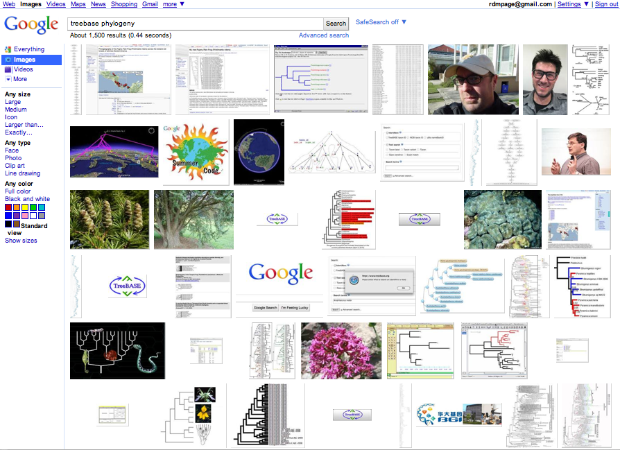 treebasephylogeny.png