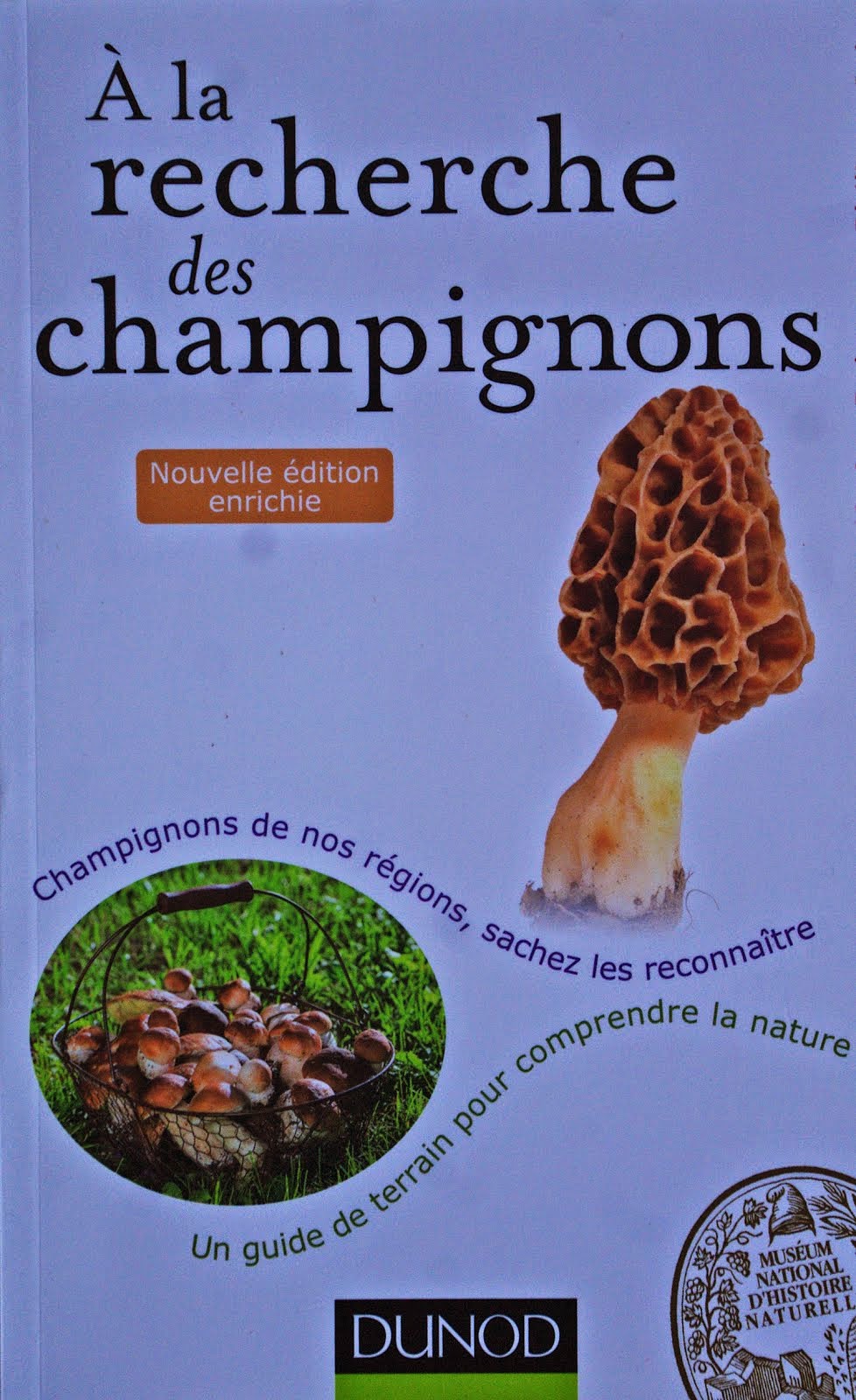 LA COCCINELLE SE POSE SUR LES CHAMPIGNONS