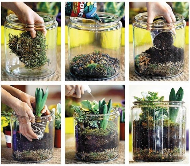 DIY easy and simple terrarium