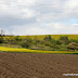 Frühling in Diesenbach
