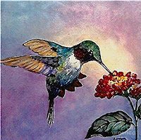 Humming Bird Paintings