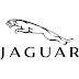 Jagaur logo vector