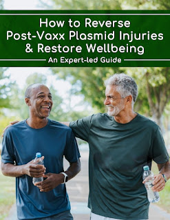 How to Reverse Post-Vaxx Plasmid Injuries & Restore Wellbeing eBook