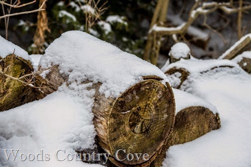 JANUARY 2015 (7 of 39)