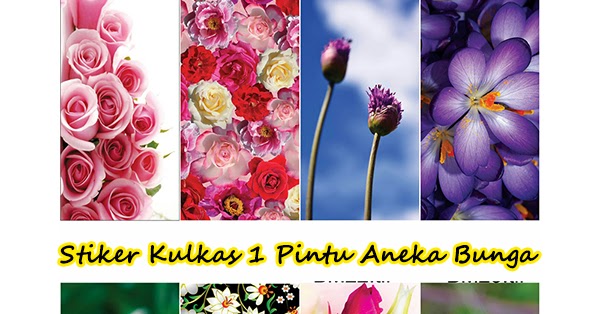 30 Trend Terbaru  Harga Stiker  Kulkas  1 Pintu Fullbody 