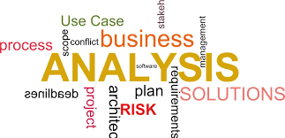 Procedures Available to the Business Analyst