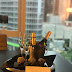 5 Year Anniversary :: Chicago