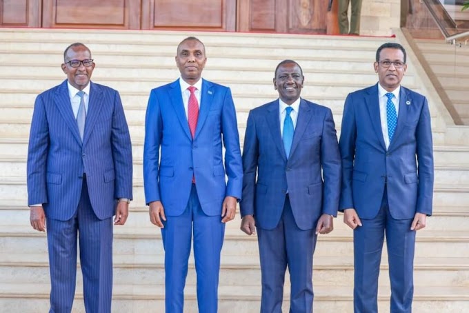 The Prime Minister of Somalia meets the President of Kenya