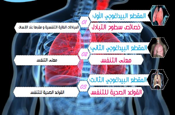 مجموعة مذكرات المقطع الثاني لميدان التحصل على الطاقة عند الإنسان