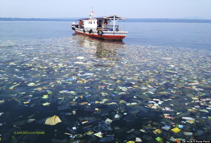 Banyak Sampah Ditemui Diperairan Indonesia, Plastik, Botol Mineral Sampai Bikini Berserakan di Lautan