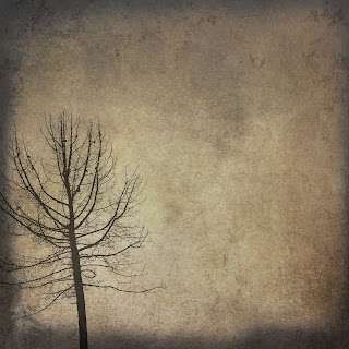 Spooky Halloween background dead tree