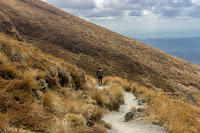 Alpine trail - Photo by Hernan Perez on Unsplash