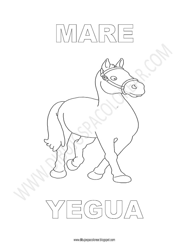 Dibujos Inglés - Español con Y: Yegua - Mare