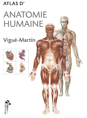 atlas d'anatomie humaine