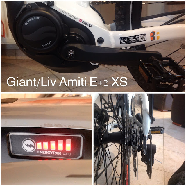  Giant Liv Amiti E+ 2 modèle 2018