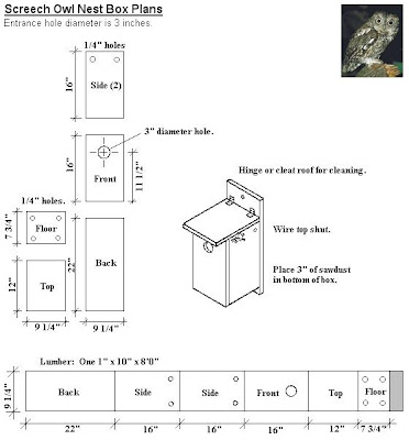 Squirrel House Plans on Plan  Http   Www Shawcreekbirdsupply Com Plans Screech Owl Htm