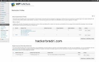 WP Traffic Tools free download full latest hackerbradri.com