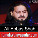 https://www.humaliwalyazadar.com/2018/08/syed-ali-abbas-shah-nohay-2019.html