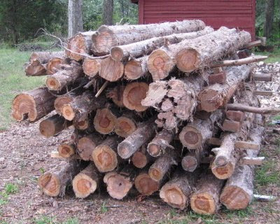 Sturdy cedar fence posts